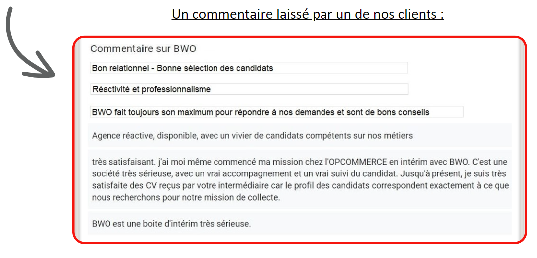 exemple de retour de questionnaire de satisfaction des clients BWO